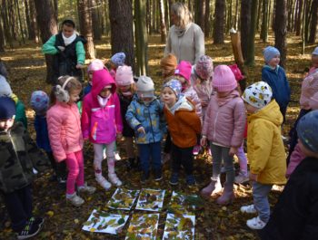 WYCIECZKA DO NADLEŚNICTWA – MISIE I LISKI