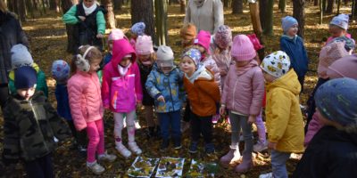 WYCIECZKA DO NADLEŚNICTWA – MISIE I LISKI