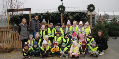 Warsztaty Świąteczne w centrum ogrodniczym Mr. Garden w Rudniku nad Sanem – 5-latki Myszki